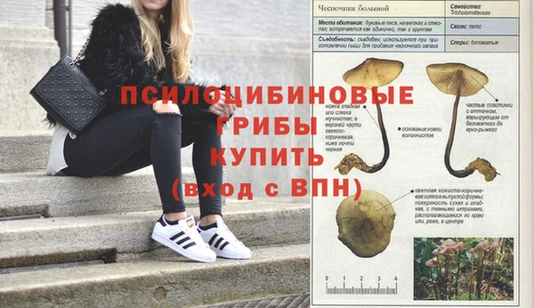 трава Богородицк