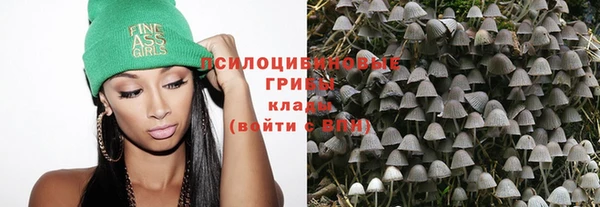 мдма Богородск