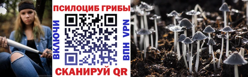 Псилоцибиновые грибы GOLDEN TEACHER  цены   нарко площадка как зайти  Плёс 